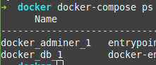Database container name in the terminal